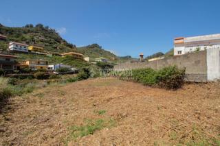 Terrain rsidentiel en Tegueste. Terrenos en venta en tegueste