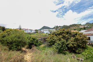 Terreny residencial a Tegueste. Terrenos en venta en tegueste