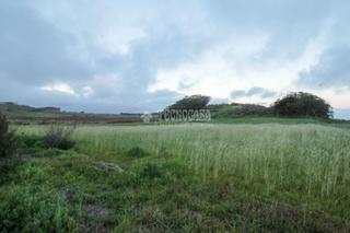 Landgut in La Esperanza - Llano del Moro. Terrenos en venta en san cristóbal de la laguna