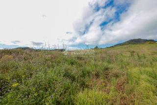 Proprit en Guamasa - El Ortigal - Los Rodeos. Terrenos en venta en san cristbal de la laguna