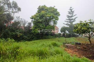Finca rústica a Tegueste. Terrenos en venta en tegueste