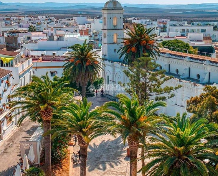 Foto 02f1e690-6d29-4dfe-96a4-0b9502054442. Finca rústica a Roche Conil de la Frontera