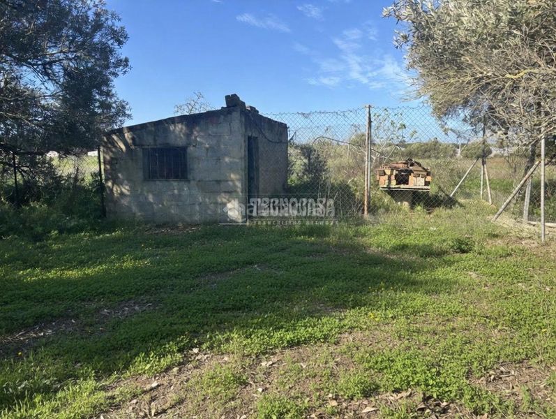 Foto 051e61c9-77d7-4dfd-924c-0498caaa73a2. Finca rústica a Roche Conil de la Frontera