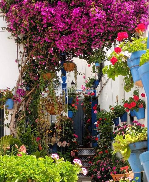 Foto 26c46126-d141-4405-9070-2d04be57a8ed. Finca rústica a Roche Conil de la Frontera