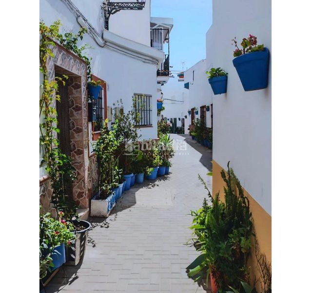 Foto 286a38de-b858-4e79-bbc5-8ff57a5df1df. Finca rústica a Roche Conil de la Frontera