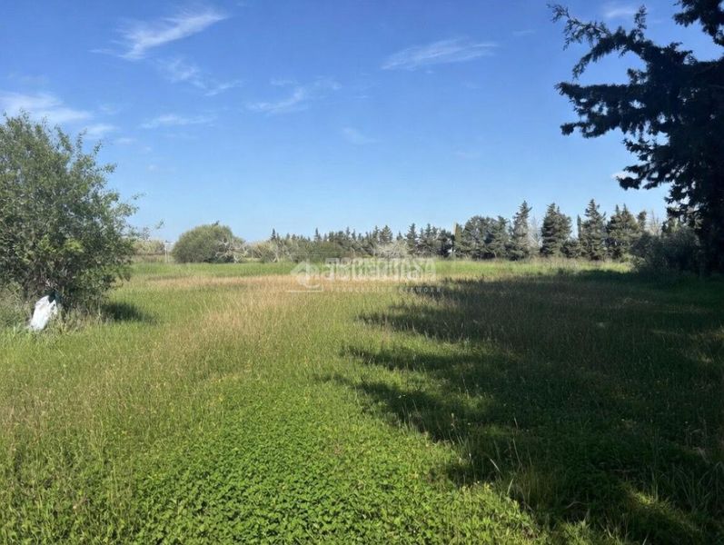 Foto 3b1db14c-32fe-4b05-8ee7-5428c451974c. Finca rústica a Roche Conil de la Frontera