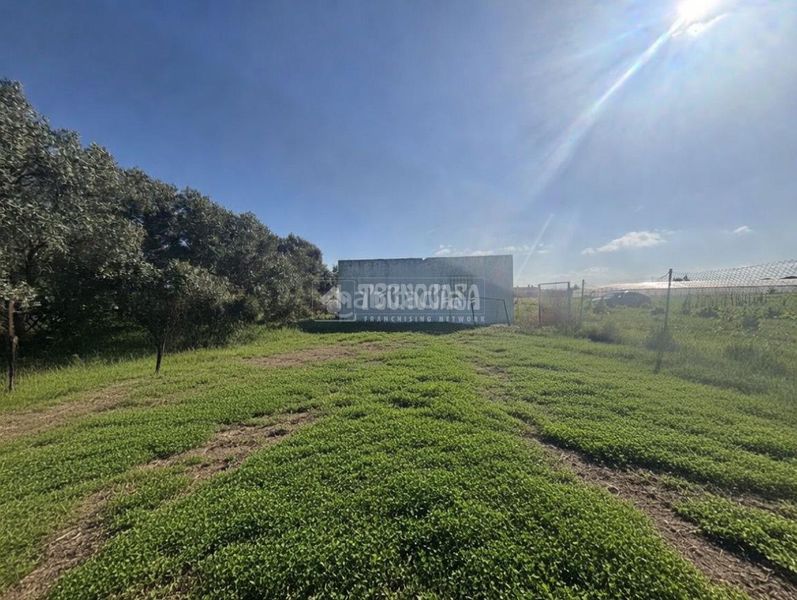 Foto 60f1480c-7c6c-4f1a-adaa-e2976f221dab. Finca rústica a Roche Conil de la Frontera