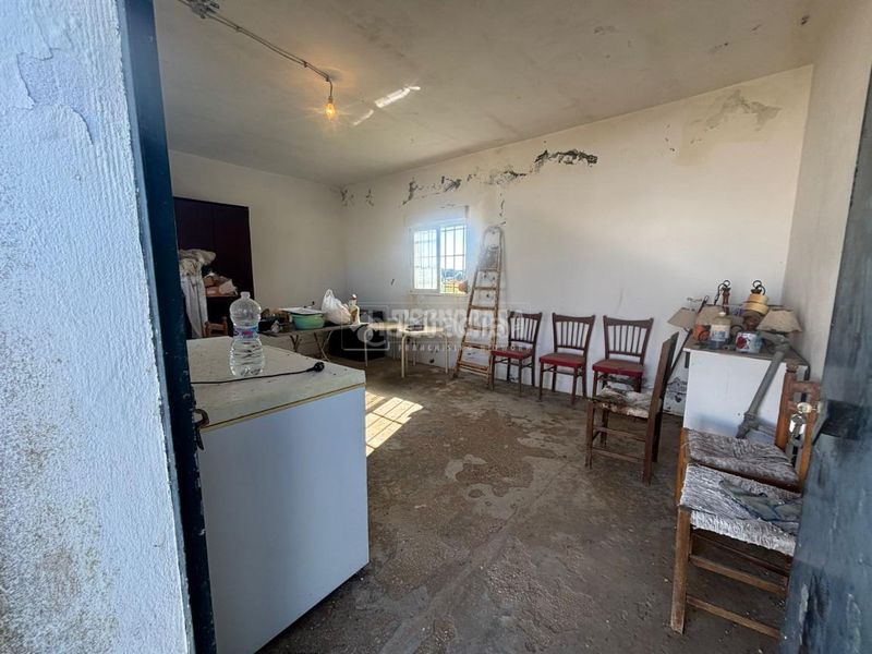 Foto 6ec9d7b8-fa03-40cd-acf4-88672f1a7ee0. Finca rústica a Roche Conil de la Frontera