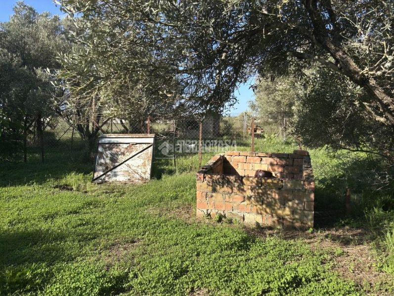 Foto b8c6f640-7e19-4036-b19f-4dfe78c69660. Finca rústica a Roche Conil de la Frontera