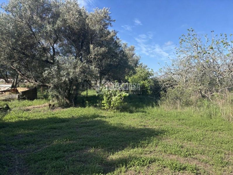 Foto c088ff04-6645-4440-8f94-4835bdd669b9. Finca rústica a Roche Conil de la Frontera