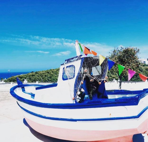 Foto d950a299-bd2b-46ab-a4f3-fa33a2b85eeb. Finca rústica a Roche Conil de la Frontera