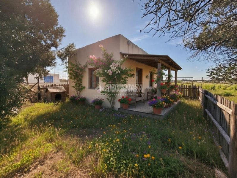 Foto f7e9a171-1e62-4037-9224-15f6feccbfdc. Finca rústica a Roche Conil de la Frontera