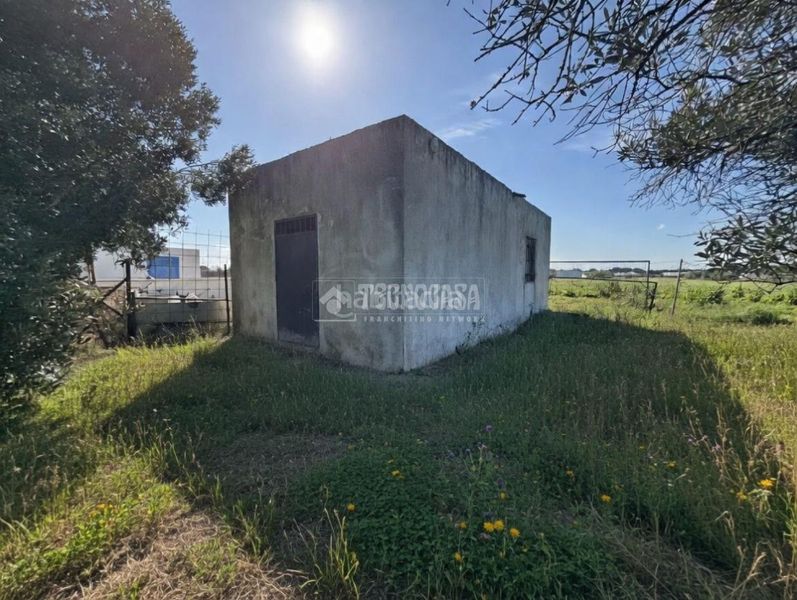 Foto f9c1d5c2-7139-4764-8edf-d4a404e0b53a. Finca rústica a Roche Conil de la Frontera