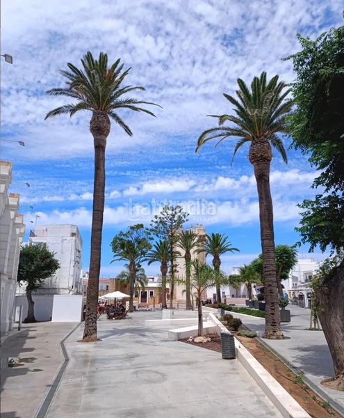 Foto f9d747af-eaa0-4e21-a3af-d46cdcef62f3. Finca rústica a Roche Conil de la Frontera