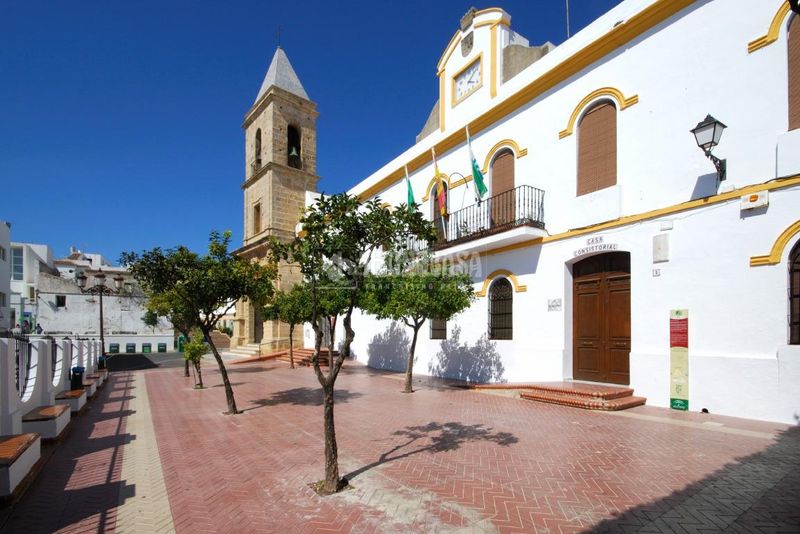 Foto c0c055a9-c764-4da3-9003-e6d042c1614d. Pis a Conil Conil de la Frontera