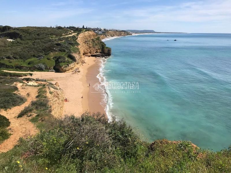 Foto fce21935-f8f2-4495-9f16-19d4dcee97f6. Pis a Conil Conil de la Frontera