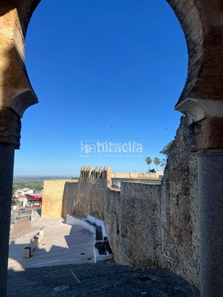 Foto f7b304f7-672a-4cb5-be02-e59e96327928. Pis a Medina Sidonia
