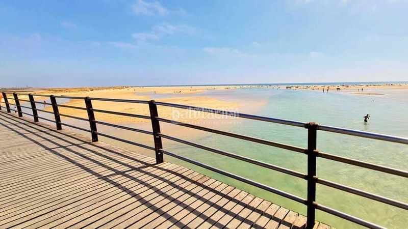 Foto 12dd60fa-a2c5-409b-bed4-c6d743545735. Piso  en venta en Conil Conil de la Frontera
