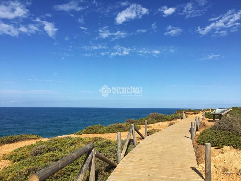 Foto 0cd092a4-6acd-497b-a98b-396ed695a717. Local comercial a Conil Conil de la Frontera