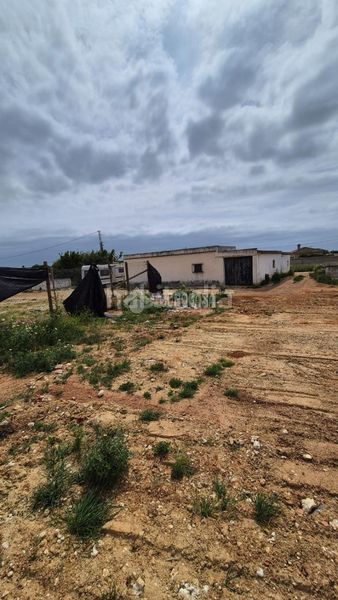 Foto 722e9de7-1300-4d06-87a7-9a2a8f4ee883. Masia a Barrio Nuevo Conil de la Frontera