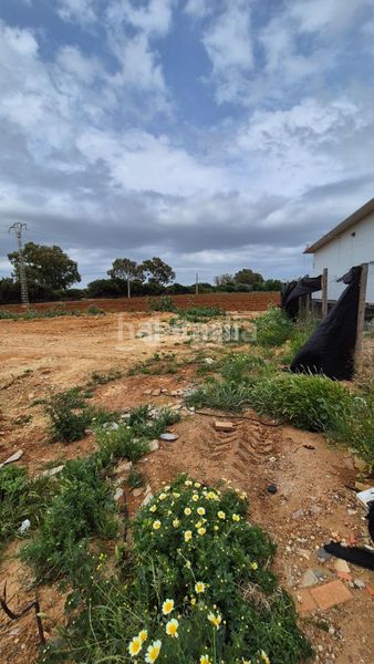 Foto 77471952-6555-4585-96b1-ce024789c7cb. Masia a Barrio Nuevo Conil de la Frontera