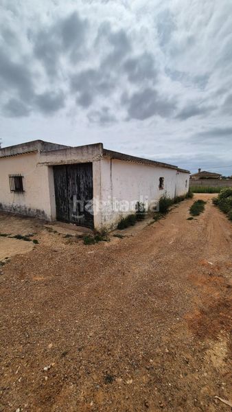 Foto a2626ed0-97ea-45ad-a9cb-3f002bdbc091. Masia a Barrio Nuevo Conil de la Frontera