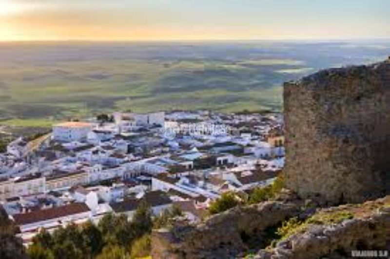 Foto 7510d5fb-a472-4976-ae98-f0a15b8fa4f1. Local comercial a Medina Sidonia