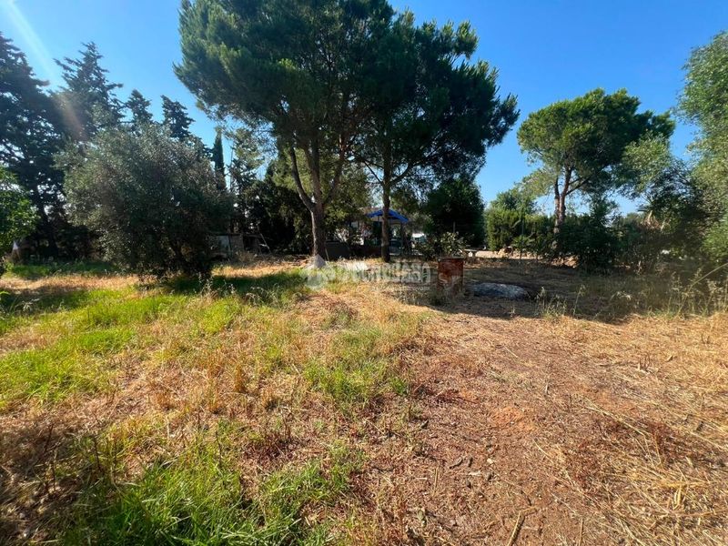 Foto 523d5999-643d-4e50-beff-8dccc804c3c1. Finca rústica a Roche Conil de la Frontera