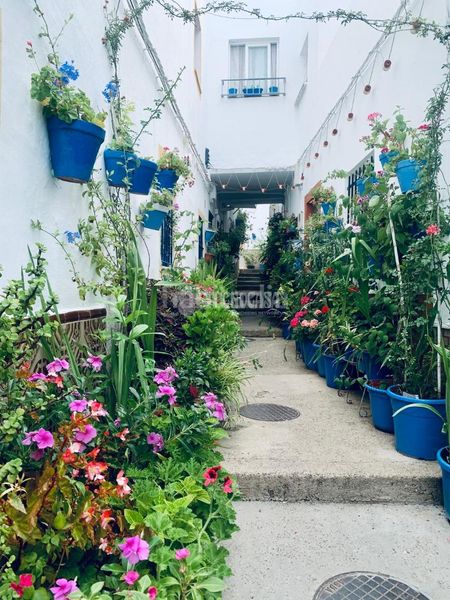 Foto d296ab3f-ef4e-4b3e-9718-bccfa1711f9e. Finca rústica a Roche Conil de la Frontera