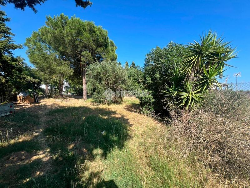 Foto e3253b50-55ff-44d7-8b9c-f2321388950a. Finca rústica a Roche Conil de la Frontera