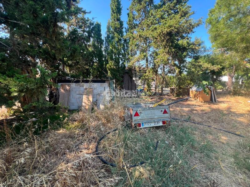 Foto e6146f54-93b8-4459-8f17-0159125a5cf2. Finca rústica a Roche Conil de la Frontera