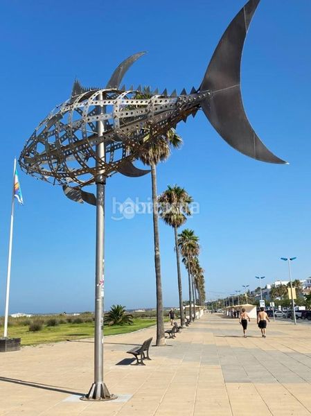 Foto a6bece47-c958-48c9-94d5-a7db612efcc4. Pis amb calefacció a Conil Conil de la Frontera