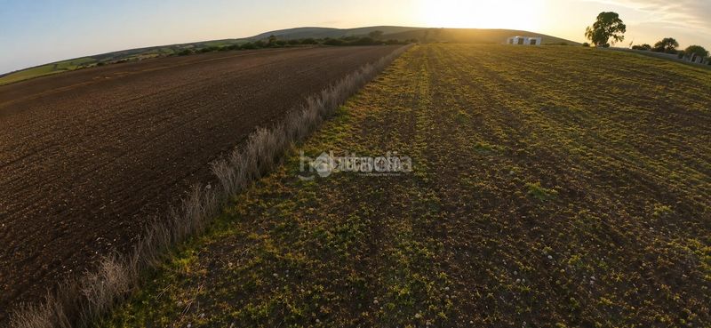 Foto 44a58c16-d2d5-4391-b761-592aa249338a. Casa amb aparcament a Medina Sidonia