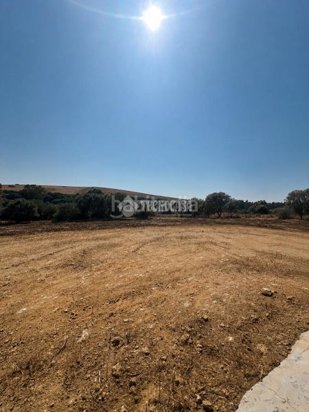 Foto 565e7ab2-5661-4069-a1e1-5fe76d453f9b. Casa amb aparcament a Medina Sidonia