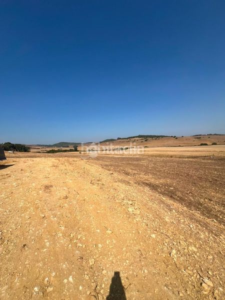 Foto 97d38bf9-660a-48a6-be11-07215f5958a9. Casa amb aparcament a Medina Sidonia