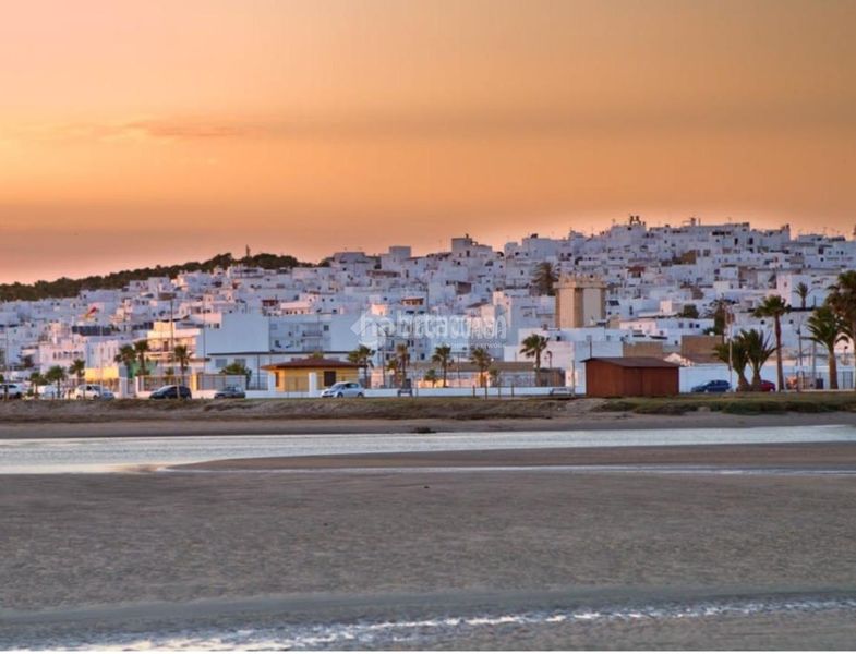 Foto cc08a3c6-a2db-40ce-9c41-d0325e95d75c. Pis a Conil Conil de la Frontera