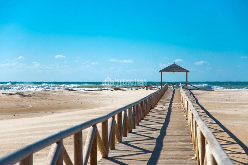 Foto e52e9e8f-f279-4b7d-99b5-acd33a652402. Casa aparellada a Conil Conil de la Frontera