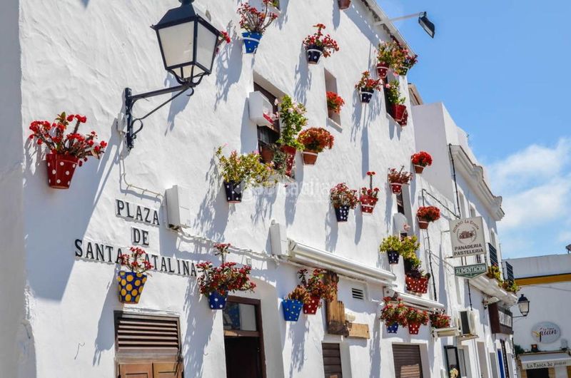 Foto 0911b078-2934-4e52-bab8-a699e0e639d1. Àtic amb calefacció a Conil Conil de la Frontera