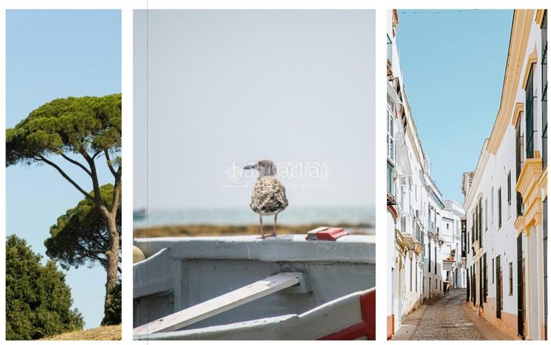 Foto 65170c42-ba5c-4538-9c15-bafd8222ab03. Piso  en venta en Conil Conil de la Frontera