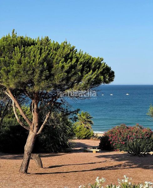 Foto b92bddff-c107-4f79-8e57-4fc8f0efe593. Rent flat in Conil Conil de la Frontera