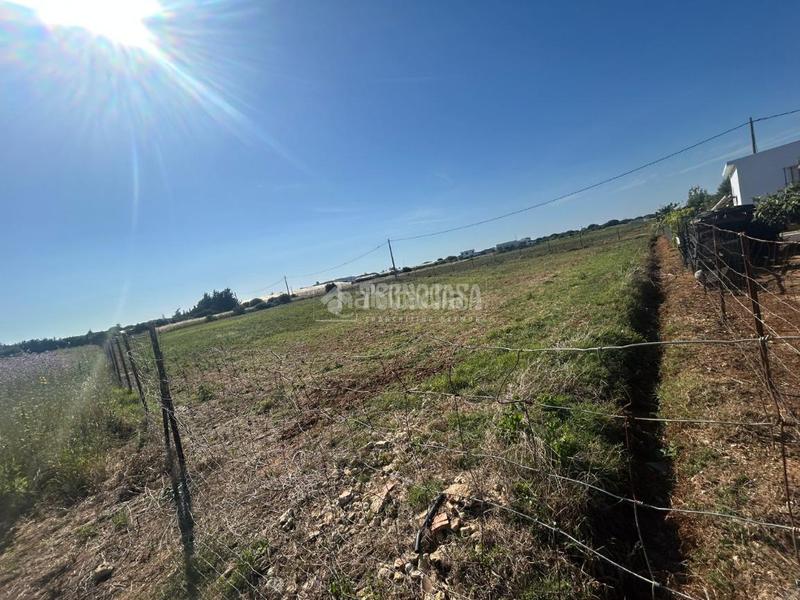 Foto 04177358-b11d-401b-b9cd-008323260dcc. Finca rústica terrenos en venta en Roche Conil de la Frontera