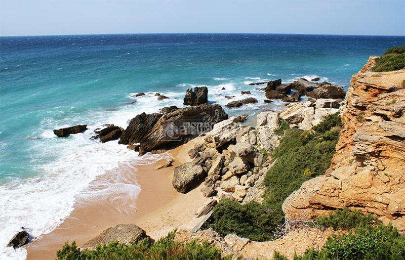 Foto 100e3087-b757-4053-a05c-c4578d49e370. Finca rústica terrenos en venta en Roche Conil de la Frontera