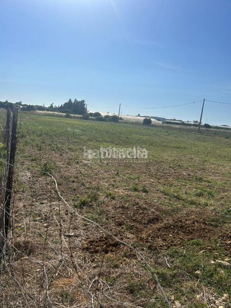 Foto 1aecdd2f-0d85-49f2-b2e5-045cc36d8c5f. Finca rústica terrenos en venta en Roche Conil de la Frontera