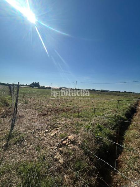 Foto 4377500c-e3f7-47e7-9ed9-270f795abe09. Finca rústica terrenos en venta en Roche Conil de la Frontera