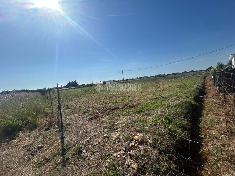 Foto 4f0fc43d-3510-4784-bd7d-e05406e3c20b. Finca rústica terrenos en venta en Roche Conil de la Frontera