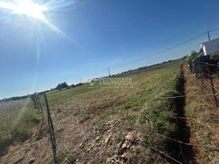 Finca rústica a Roche. Terrenos en venta en conil de la frontera