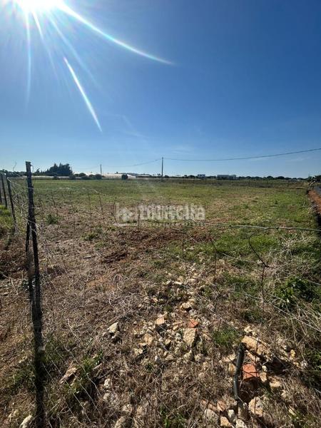 Foto 9b5615da-c7dc-4aa5-8361-9cc658bebd29. Finca rústica terrenos en venta en Roche Conil de la Frontera