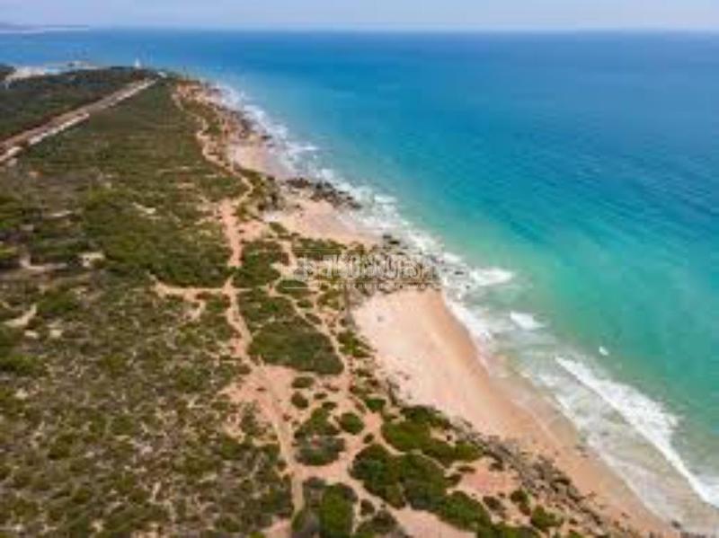Foto a40f7b5e-ee9b-4f66-bd3d-577ab3b14e76. Finca rústica terrenos en venta en Roche Conil de la Frontera