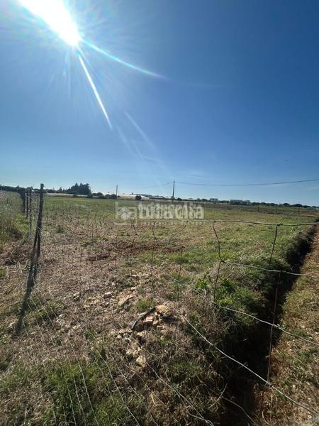 Foto d3f16c00-d9d9-4f4e-ad12-492f2c180f4d. Finca rústica terrenos en venta en Roche Conil de la Frontera