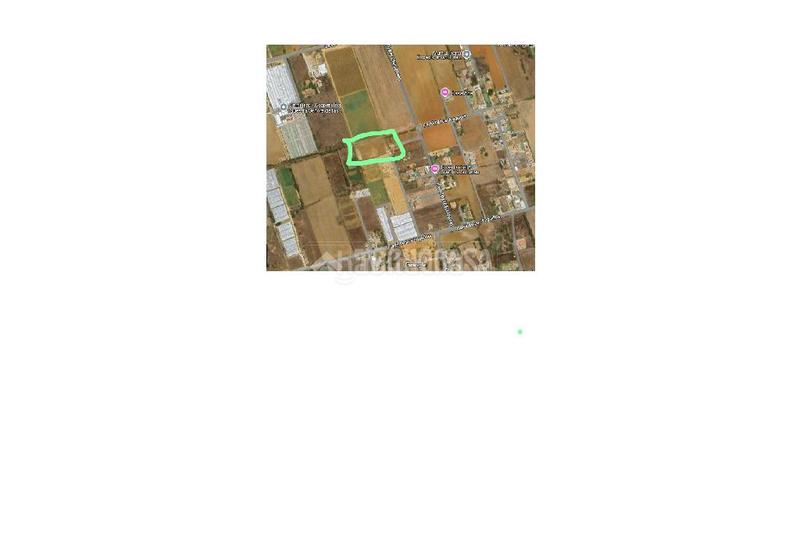 Foto d40b93b5-5ca8-44c8-94f6-6c363f7370b5. Finca rústica terrenos en venta en Roche Conil de la Frontera